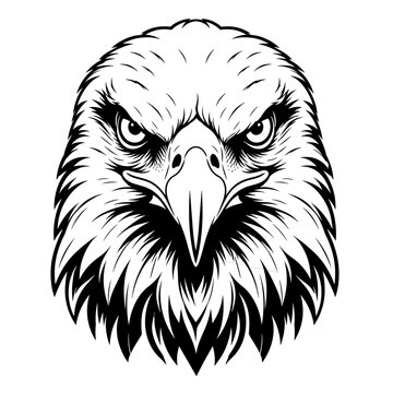 Fierce Bald Eagle Head Black and White Vector Illustration