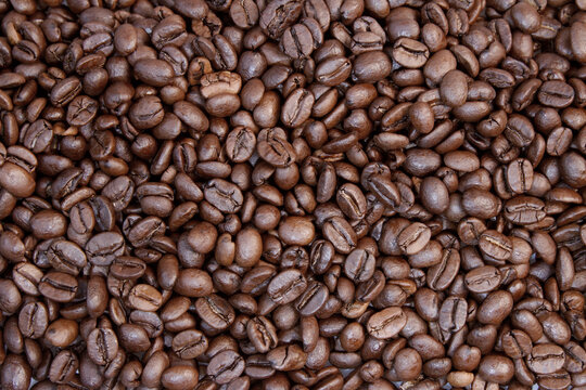 Roasted coffee beans