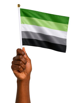 Black Hand Holding Aromantic Pride Flag Isolated