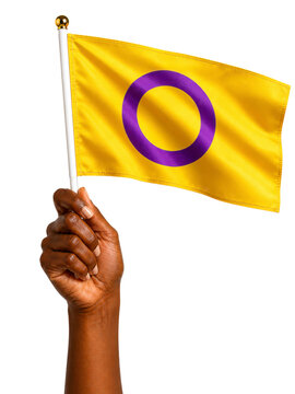 Hand Holding Intersex Pride Flag Isolated On White