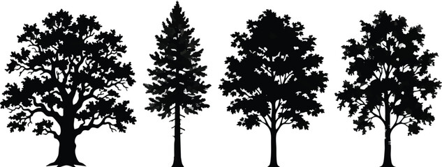 Trees arranged in a row display various species of deciduous and coniferous foliage to represent nature, forest conservation, and environmental diversity. © kaby