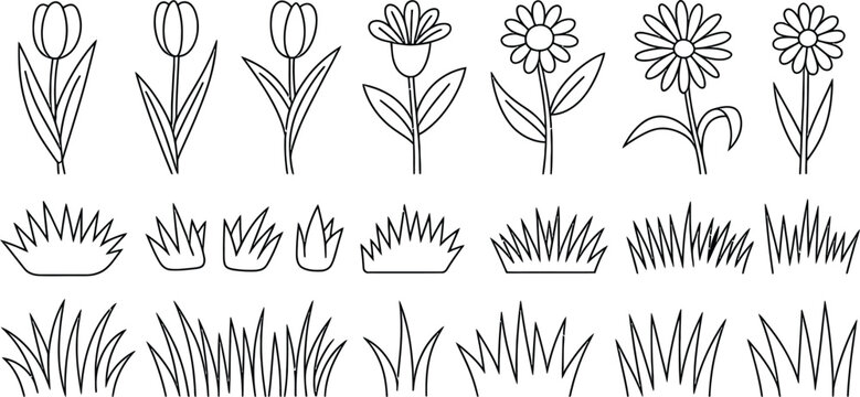 flower botanical silhouettes and lineart tulip daisy grass vectors