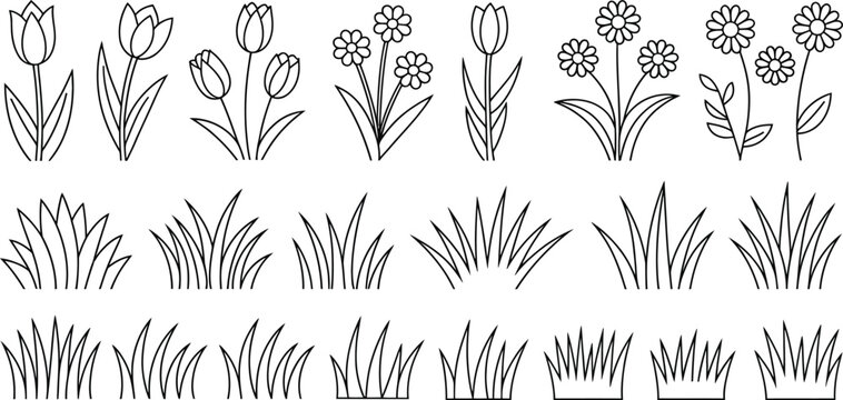 flower botanical vector pack tulip daisy grass outline illustrations