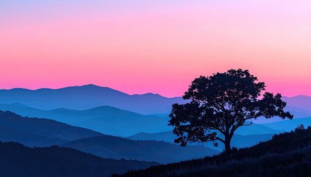 Silhouette of a lone tree on a hill against a vibrant sunset sky
