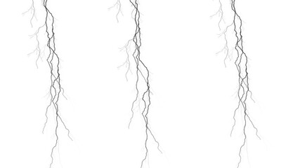 Fototapeta premium Grey roots hanging down, isolated on white background