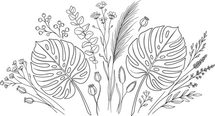 Tropical monstera leaves and wild botanical flowers line art illustration collection with elegant eucalyptus branches, pampas grass, berries, and meadow herbs vector drawing © Malati