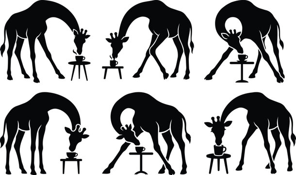 A giraffe bending awkwardly to sip coffee from a tiny table bundle silhouette icon vector art illustration