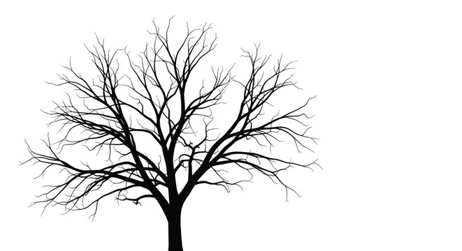 High contrast black silhouette of a large leafless tree with intricate branches is set against a stark white background.