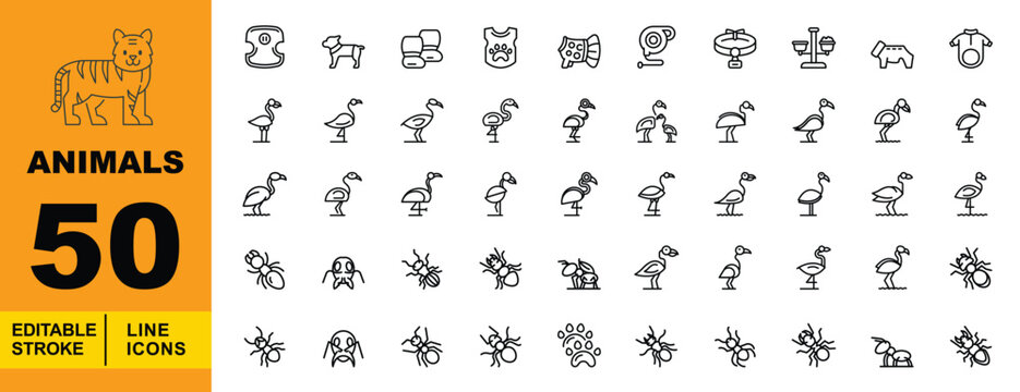 Animals Line Icon Set. Harness, coat, boots, vest, dress, tape, collar, scale, sweater, shirt, flamingo, ant, head, beetle, bug, termite, paw, spider, cricket, wasp, bee, mantis, fly, gnat, tick.