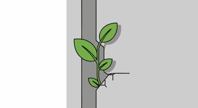 Green seedling sprouting from a crack in concrete