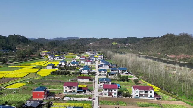 Aerial View of Rural Village and Yellow Flowering Fields by River