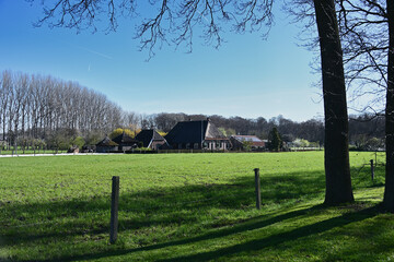 Obraz premium Scenic panoramic view of a traditional Dutch farmhouse across green pastures under a blue spring sky along the Hanzestedenpad