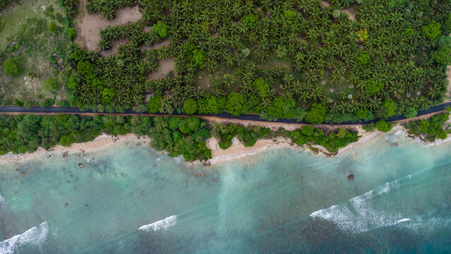 This drone photograph shows the sea on one side, a forest on the other, and a paved road running between them.