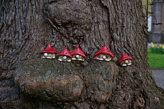 Small stone garden gnomes with red hats lined up on a tree trunk along the Hanzestedenpad in Overijssel