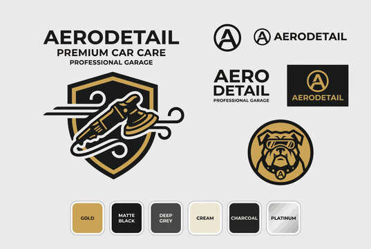 Premium Automotive Detailing and Car Wash Logo Branding Kit