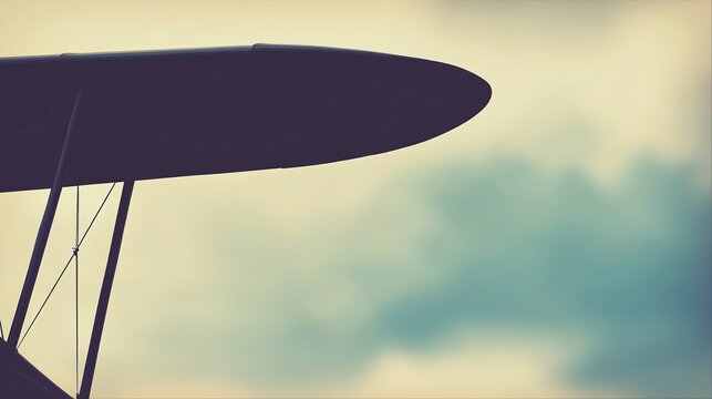 Minimalist monoplane silhouette with sleek wing form and balanced structure, soft gradient sky, shallow depth