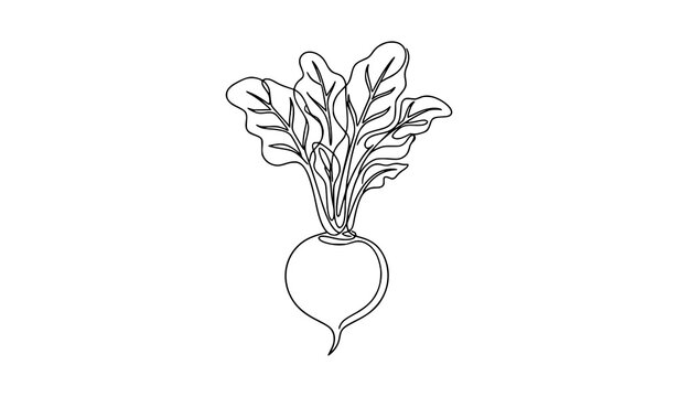 One continuous line drawing of a round beetroot with stems and leafy greens for kitchen decoration, beetroot