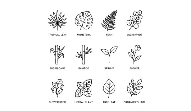 Collection of various nature and plant icons in thin line style with collection tropical monstera eucalyptus
