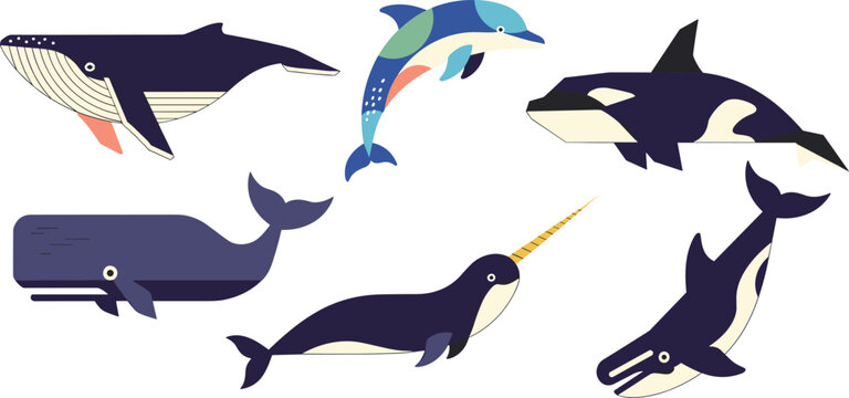 Whales and Dolphins Vector Illustration Set Featuring Blue Whale Orca Killer Whale Narwhal Sperm Whale and Geometric Style Marine Wildlife Elements