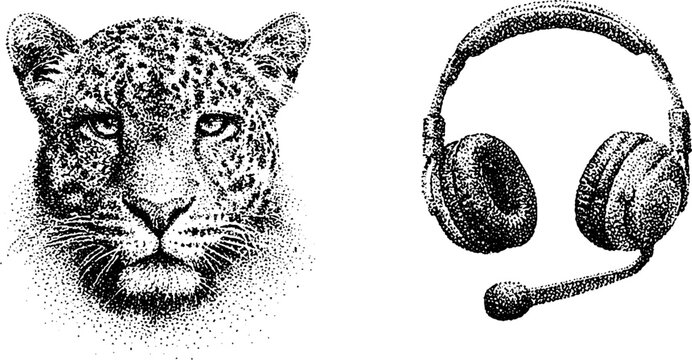 Leopard head facing front beside detached headset on white
