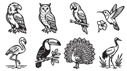 Obraz premium Tropical Bird Icons, Exotic Avian Illustrations, Black and White Vector Birds, Wildlife Graphics