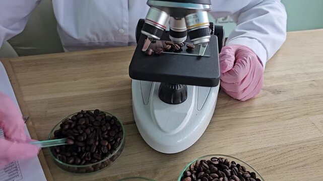 Coffee bean analysis process in a lab setting with various samples on a table