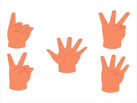 fingers, counting gesturing, one, two, three, four, five vector illustration.