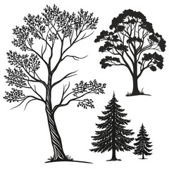 Obraz premium Set of black and white hand-drawn deciduous and coniferous tree silhouettes with silhouette coniferous deciduous illustration collection woodland