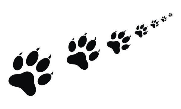 Black paw prints silhouette trail animal footsteps vector illustration
