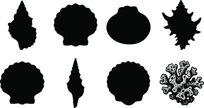 Marine Shells and Coral Silhouette Collection Featuring Seashell Ocean Life Vector Elements Bundle
