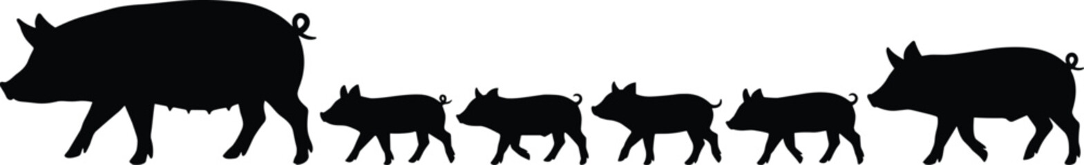 Black silhouette of a sow with piglets walking in a line on a white background, animal farm © Sojib Patuary