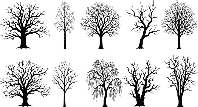 Collection of ten black silhouette bare trees on a white background, various shapes and sizes
