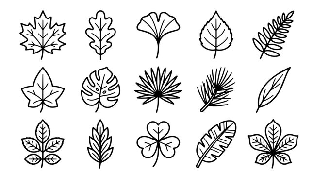 Collection of diverse plant leaf outlines