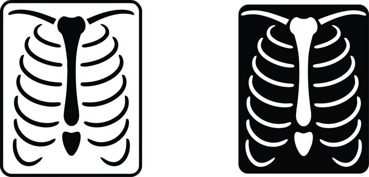 Human rib cage and chest vector illustration.