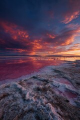 Obraz premium Andean altiplano landscape with pink flamingos at sunset