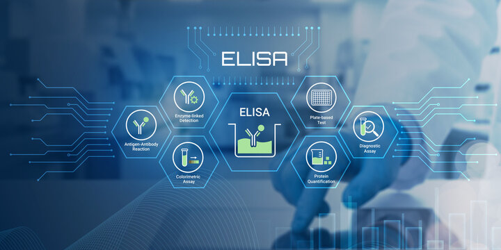 Modern ELISA Testing Methods Displayed Through Digital Infographic With Scientific Applications And Laboratory Techniques