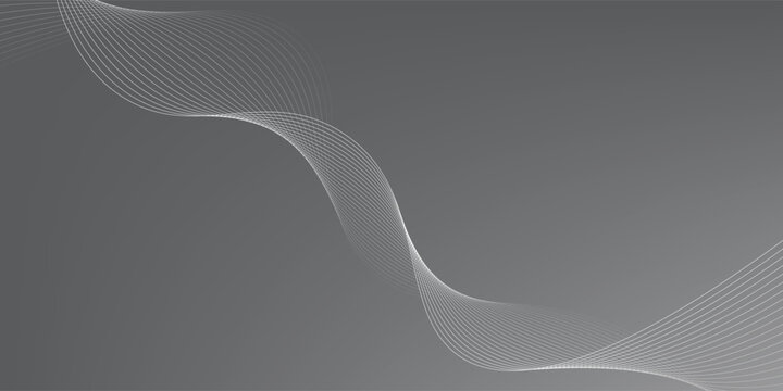 Abstract gray gradient background with elegant flowing white wave lines. Modern minimalist dynamic curved line texture for professional corporate business banners and presentation backdrops.