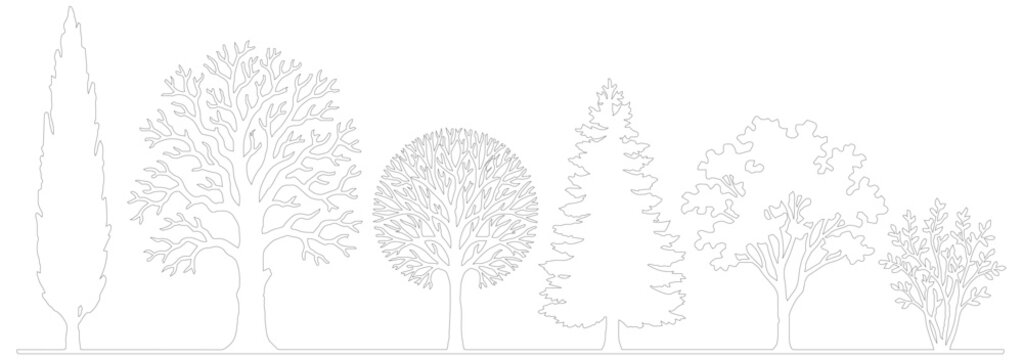 Minimalist tree line art collection, architectural landscape tree silhouettes, set of 6 thin line plant vectors for site plans and diagrams