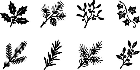 Botanical christmas foliage set featuring holly pine branches mistletoe ivy and berry sprigs in black vector silhouette © Vecto_Pixels