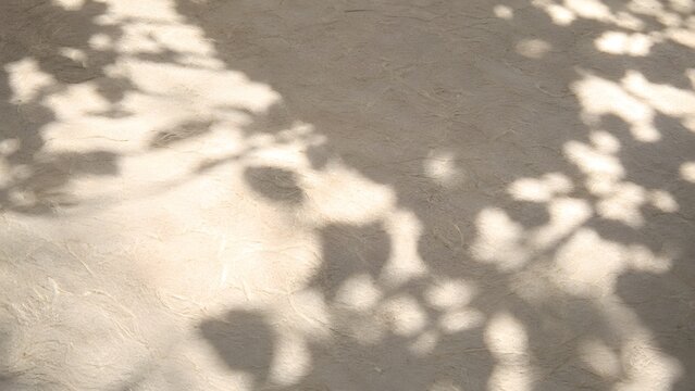 Komorebi Dappled Light Shadow on Kozo Washi Paper Surface Fiber Detail Japan Background Copy Space