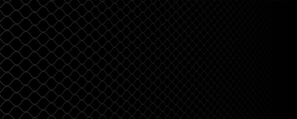 Fishing or soccer net. Repeated hexagon pattern. Black wired mesh texture isolated on white background.ilustrasion modern. © PECAH