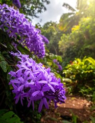 Obraz premium Vibrant Purple Flower Cluster Blooming Along Lush Tropical Garden Path