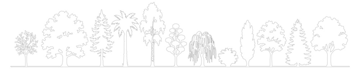 Minimalist tree line vector illustration, thin black outline forest silhouettes, set of 12 diverse botanical tree species for architectural site plans © M
