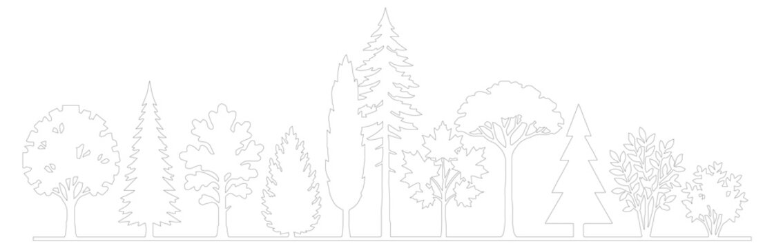 Minimalist tree line vector illustration, thin line art forest landscape, simple outline of diverse woodland trees for eco-friendly branding