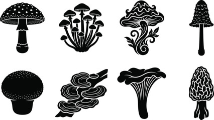 Mushroom silhouettes fungi species puffball morel shelf trumpet curly spotted caps diverse shapes illustration design vector collection natural organisms © MdAriful