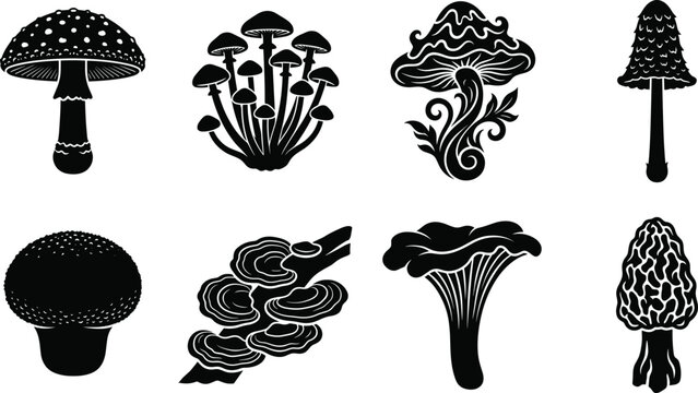 Mushroom silhouettes fungi species puffball morel shelf trumpet curly spotted caps diverse shapes illustration design vector collection natural organisms