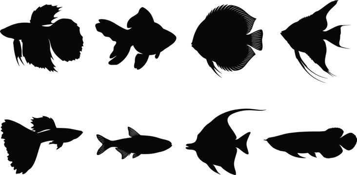 Fish silhouette icons marine species aquatic animals fin shapes tail structures ocean life illustration biology taxonomy design vector collection underwater diversity