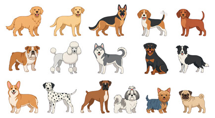 Fototapeta premium Cartoon Purebred Dog Breeds Collection with Cute Flat Vector Puppies and Domestic Canine Characters Set