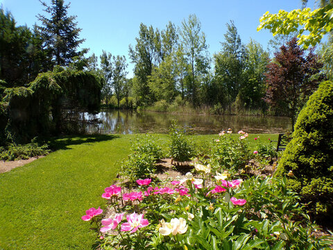 Summer landscape with trees and flowers in the park