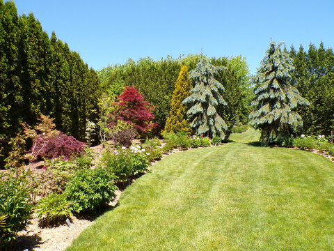 Summer landscape with trees and flowers in the park